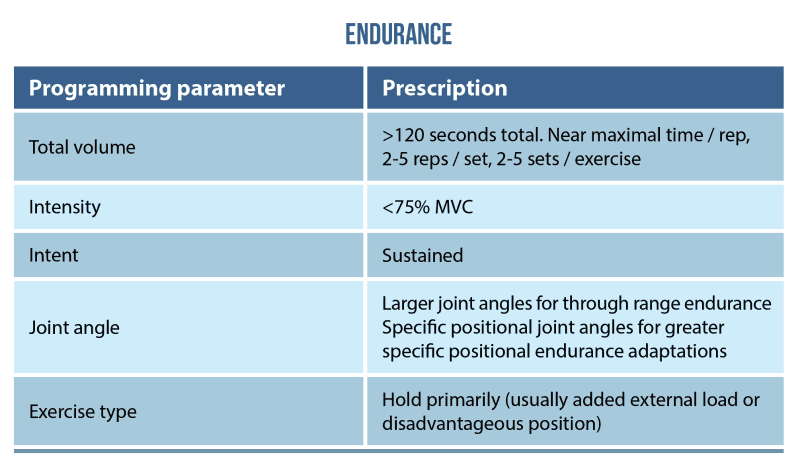 6 Tips To Improve Your Isometric Exercise Prescription Physio Network